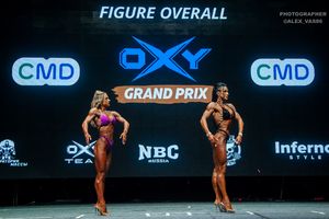 FIGURE OVERALL